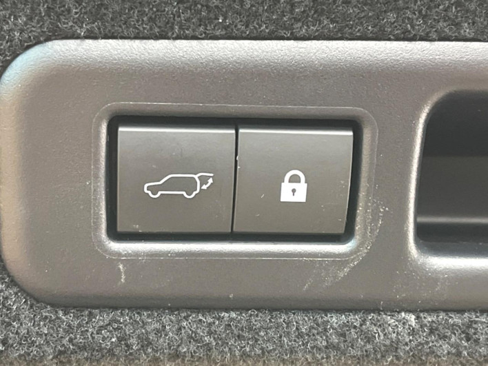 2021 Lexus RX 6AA-GYL25W (UW-69faaf5fb9b3d)[29]