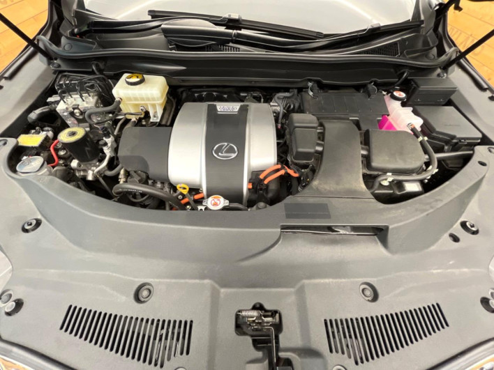 2021 Lexus RX 6AA-GYL25W (UW-69faaf5fb9b3d)[20]