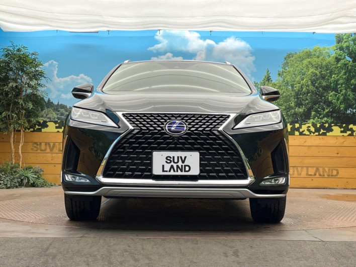 2021 Lexus RX 6AA-GYL25W (UW-69faaf5fb9b3d)[11]