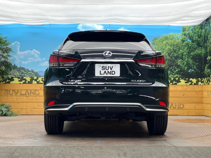 2021 Lexus RX 6AA-GYL25W (UW-69faaf5fb9b3d)[7]