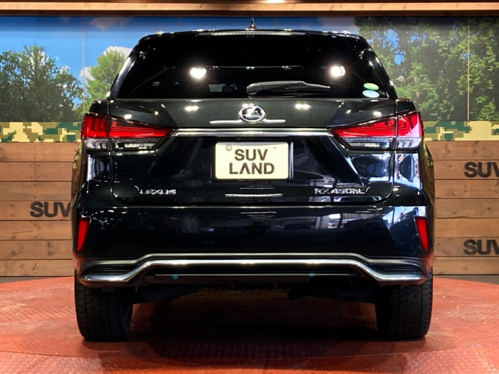 2019 Lexus RX DAA-GYL26W (UW-69faaf5fdaee1)[20]