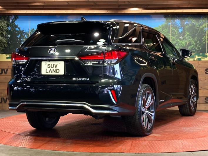 2019 Lexus RX DAA-GYL26W (UW-69faaf5fdaee1)[19]