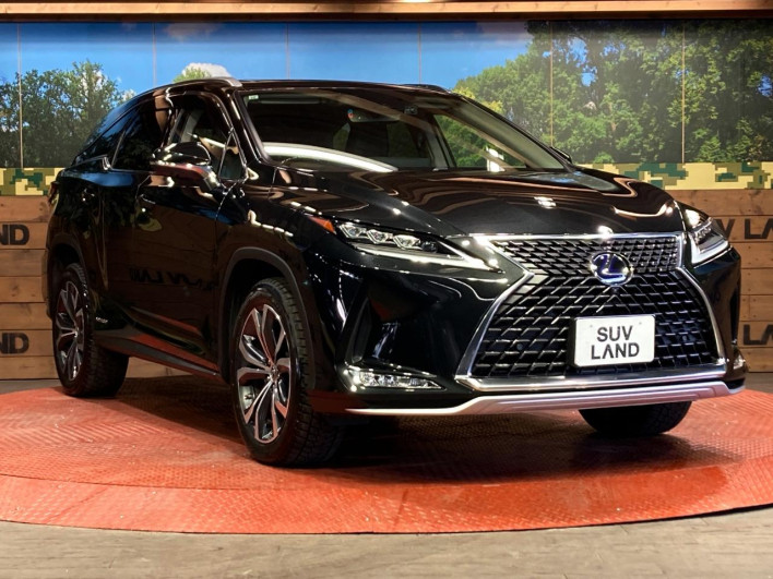 2019 Lexus RX DAA-GYL26W (UW-69faaf5fdaee1)[17]