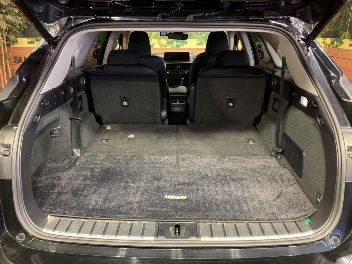 2019 Lexus RX DAA-GYL26W (UW-69faaf5fdaee1)[29]