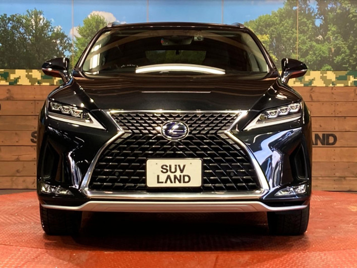 2019 Lexus RX DAA-GYL26W (UW-69faaf5fdaee1)[16]