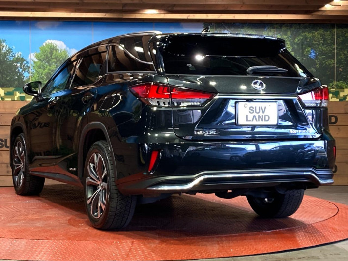 2019 Lexus RX DAA-GYL26W (UW-69faaf5fdaee1)[21]