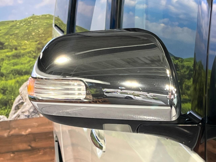 2008 Toyota Vellfire DBA-ANH20W (UW-69fc00a4e3be5)[6]