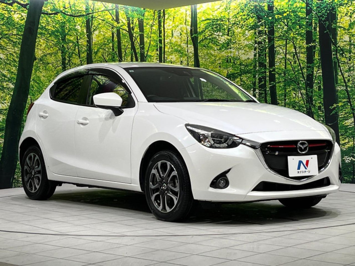 2015 Mazda Demio LDA-DJ5AS (UW-69fc00bbba3fd)[21]