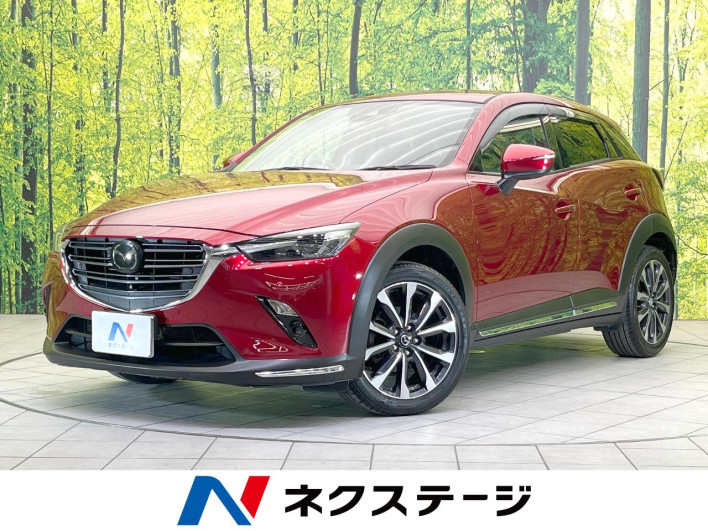 2018 Mazda CX-3 3DA-DK8FW (UW-69fc00bcc2129)[2]