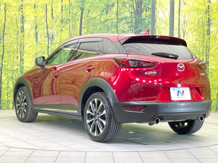 2018 Mazda CX-3 3DA-DK8FW (UW-69fc00bcc2129)[10]