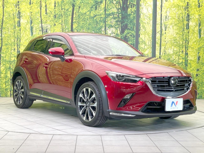 2018 Mazda CX-3 3DA-DK8FW (UW-69fc00bcc2129)[6]