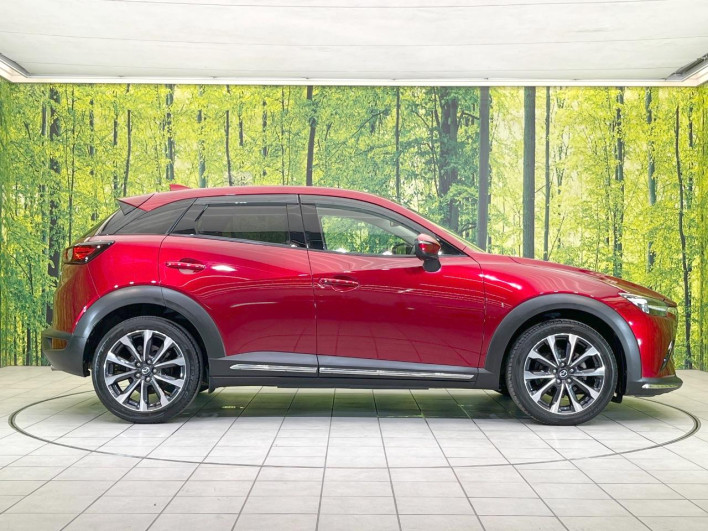 2018 Mazda CX-3 3DA-DK8FW (UW-69fc00bcc2129)[7]