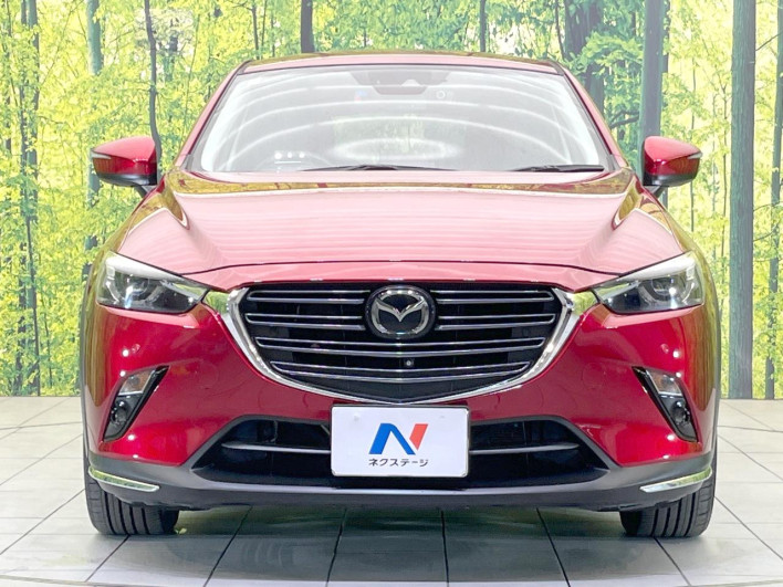 2018 Mazda CX-3 3DA-DK8FW (UW-69fc00bcc2129)[5]