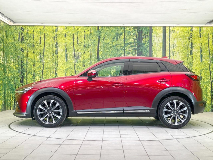 2018 Mazda CX-3 3DA-DK8FW (UW-69fc00bcc2129)[11]