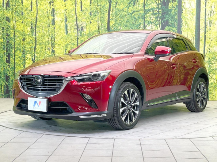 2018 Mazda CX-3 3DA-DK8FW (UW-69fc00bcc2129)[4]