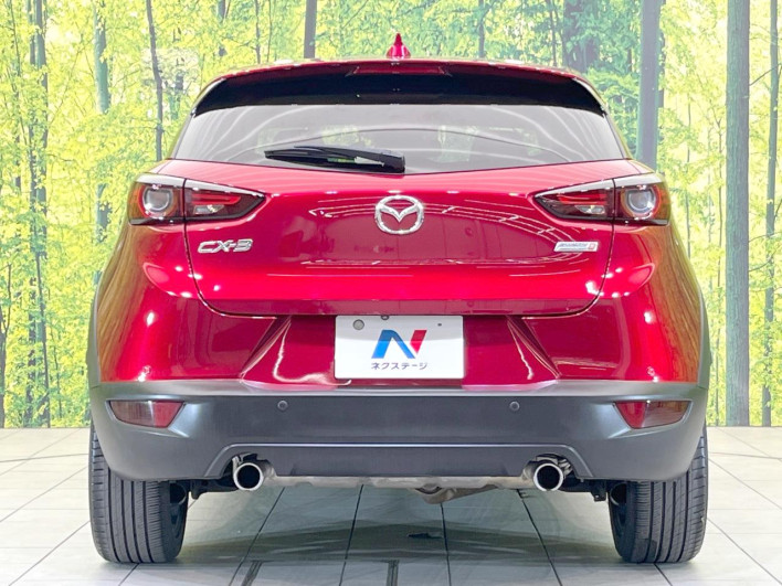 2018 Mazda CX-3 3DA-DK8FW (UW-69fc00bcc2129)[9]