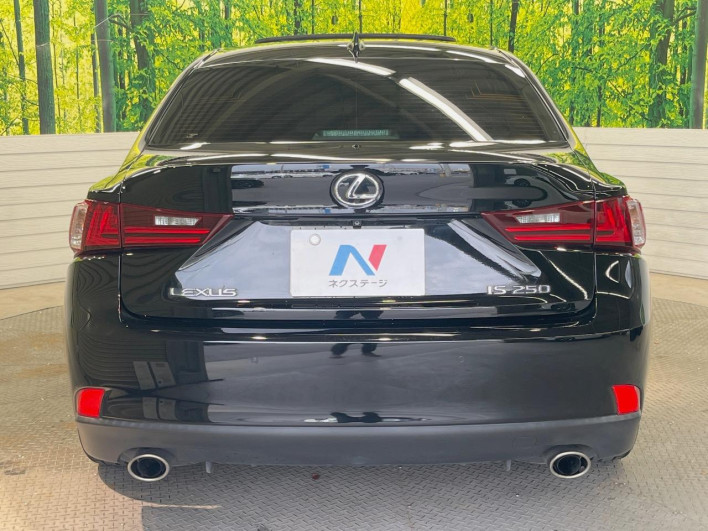 2013 Lexus IS DBA-GSE30 (UW-69fc00d05e54e)[20]