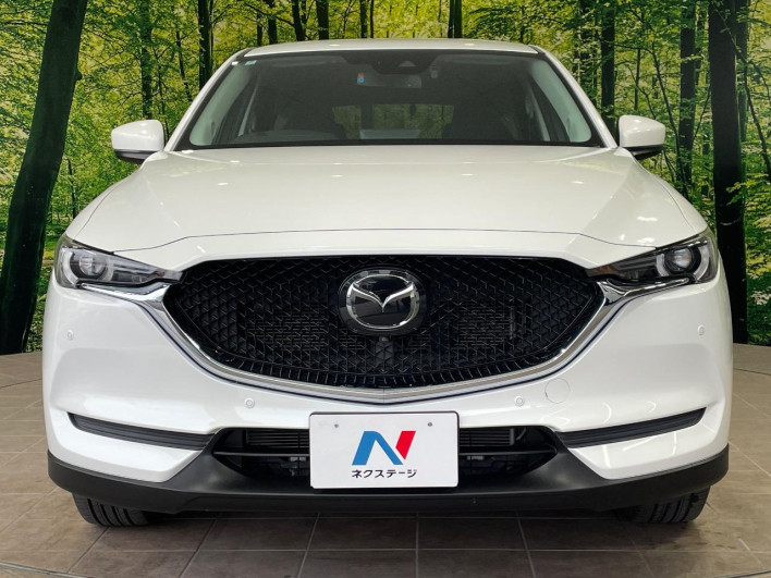 2020 Mazda CX-5 6BA-KFEP (UW-69fc00f42abf7)[15]