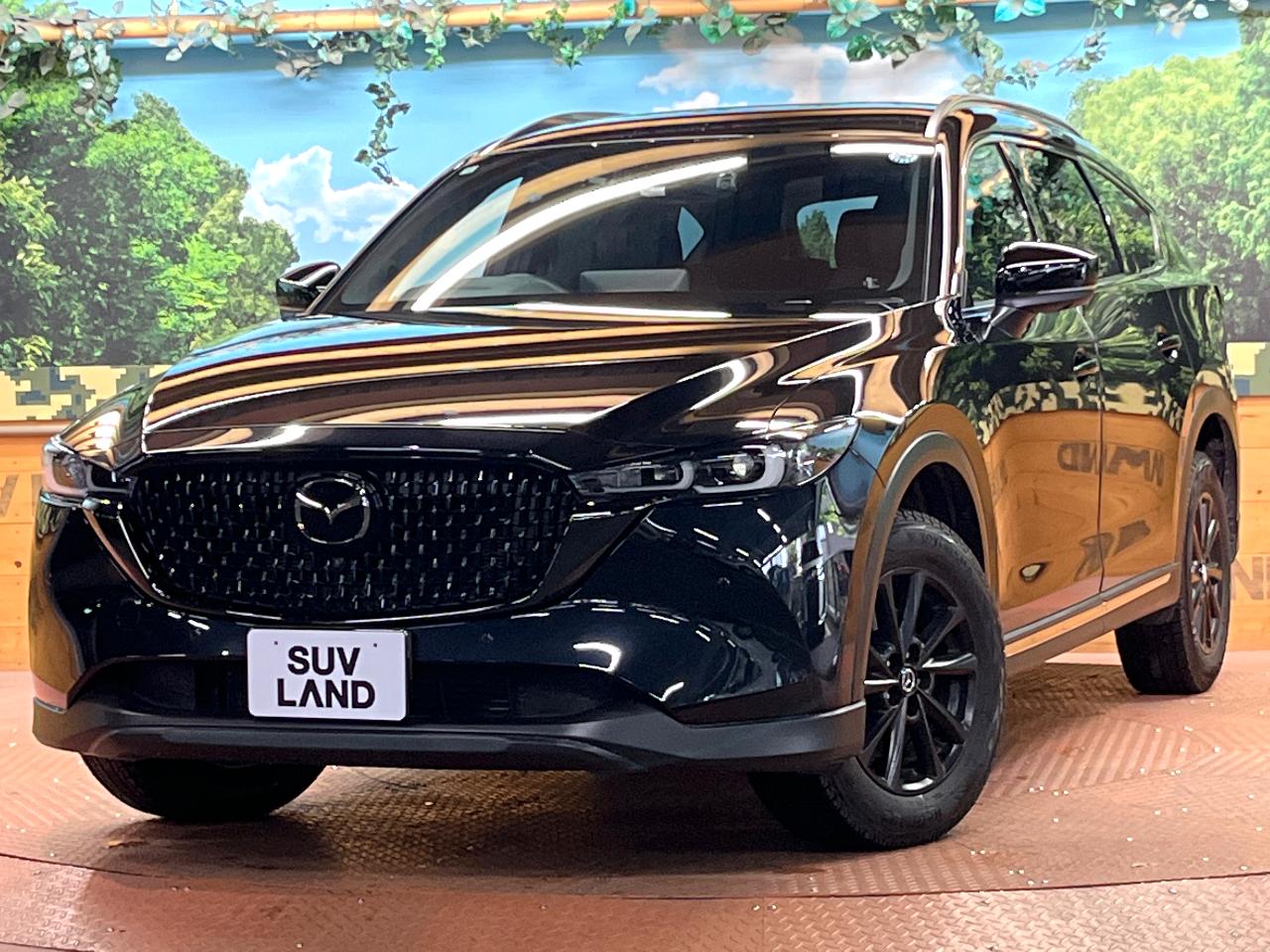 2024 Mazda CX-8 3da-kg2p