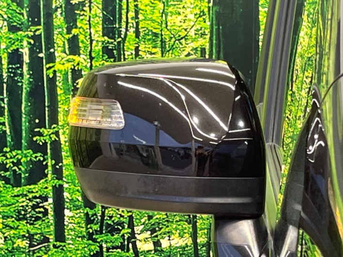 2013 Honda Stepwgn Spada DBA-RK5 (UW-69fc0140625ef)[22]
