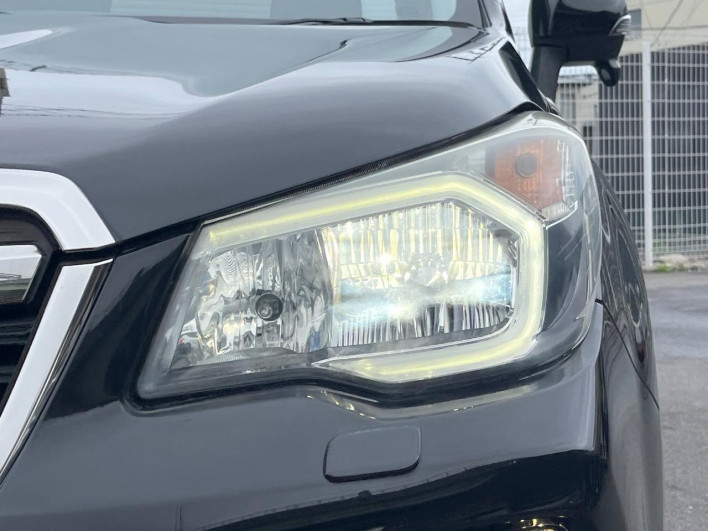 2013 Subaru Forester DBA-SJG (UW-69fc014a6208b)[13]