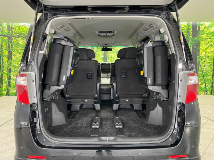 2012 Toyota Alphard DBA-ANH25W (UW-69fd523cb871e)[20]