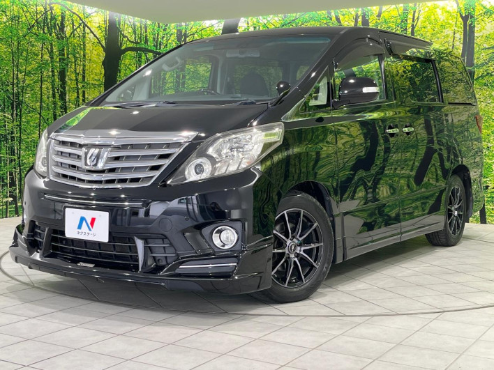 2012 Toyota Alphard DBA-ANH25W (UW-69fd523cb871e)[0]