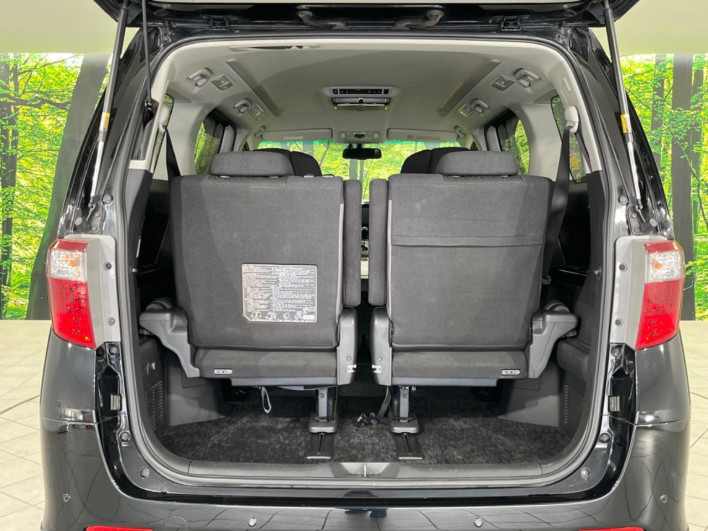 2012 Toyota Alphard DBA-ANH25W (UW-69fd523cb871e)[19]