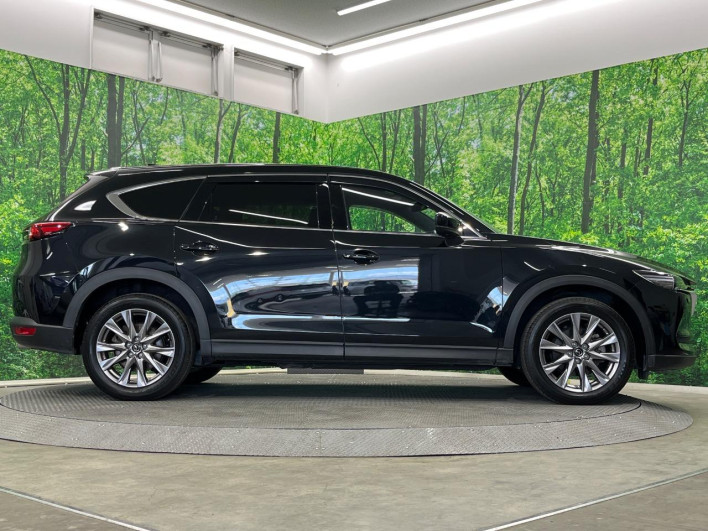 2019 Mazda CX-8 3da-kg2p (UW-69fd528fc145f)[12]