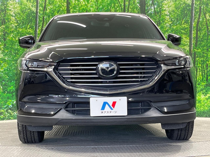 2019 Mazda CX-8 3da-kg2p (UW-69fd528fc145f)[5]