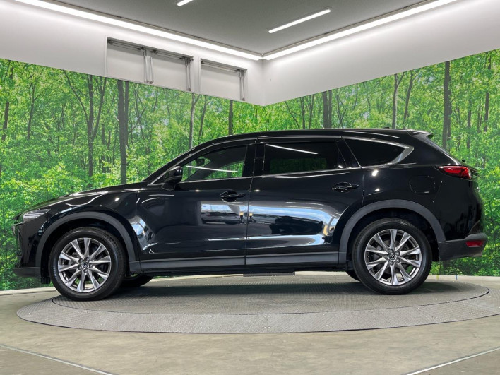 2019 Mazda CX-8 3da-kg2p (UW-69fd528fc145f)[24]