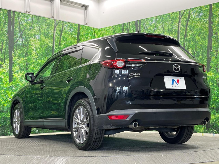 2019 Mazda CX-8 3da-kg2p (UW-69fd528fc145f)[23]
