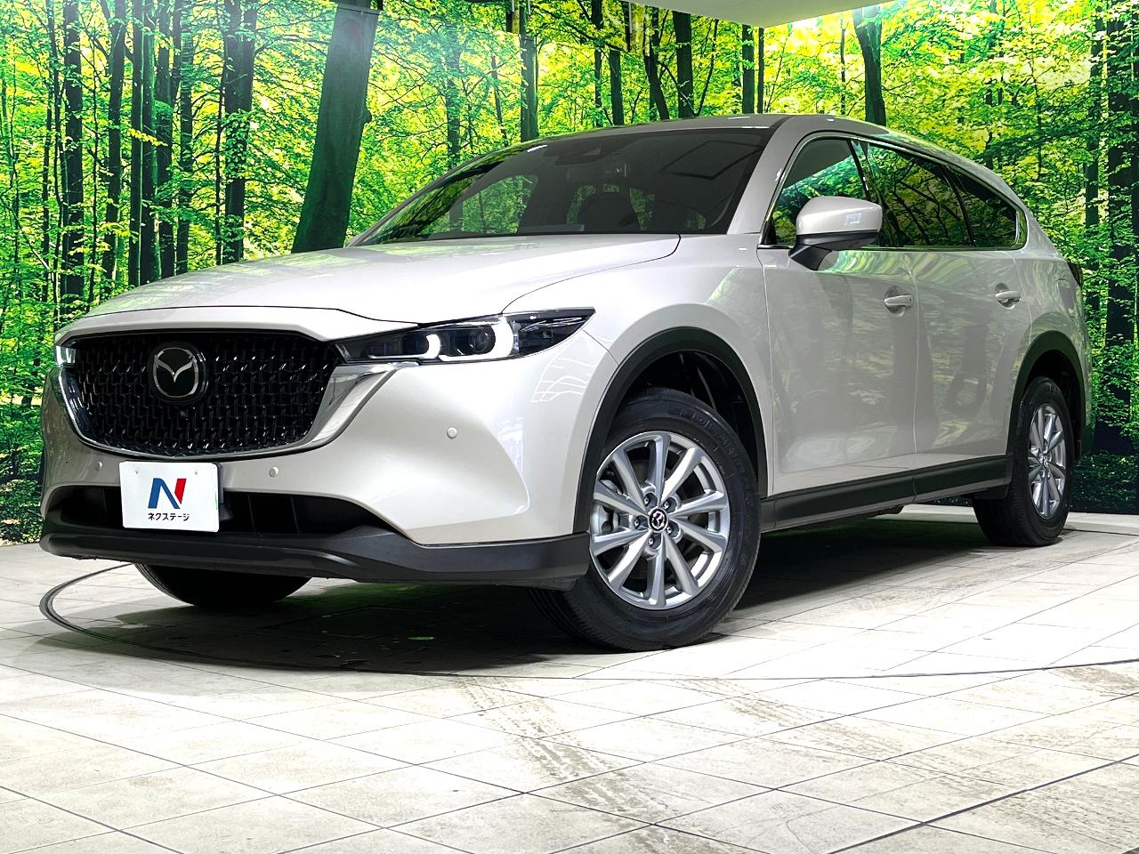 2022 Mazda CX-8 6BA-KG5P