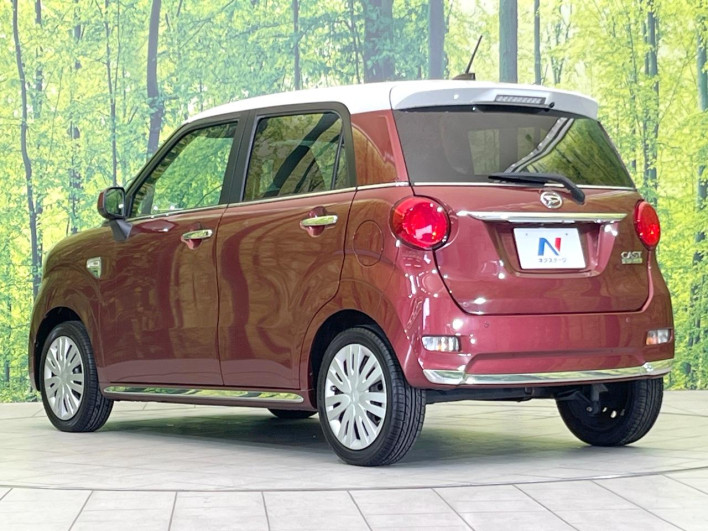 2017 Daihatsu Cast DBA-LA250S (UW-69fd529cc98c5)[10]