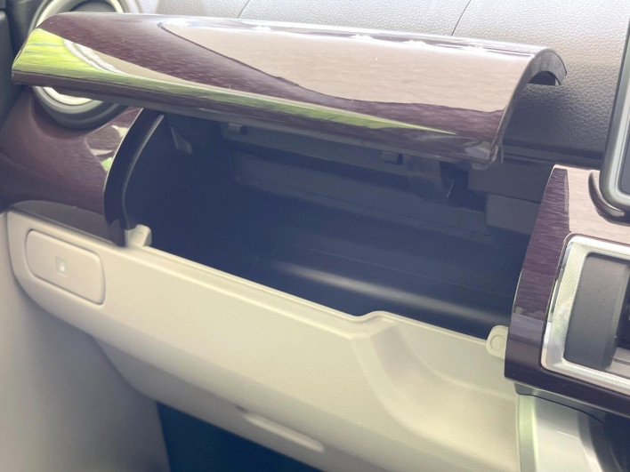 2017 Daihatsu Cast DBA-LA250S (UW-69fd529cc98c5)[22]