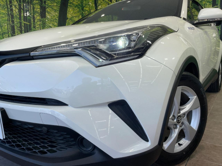 2018 Toyota C-HR DAA-ZYX10 (UW-69fd531d5eac1)[12]