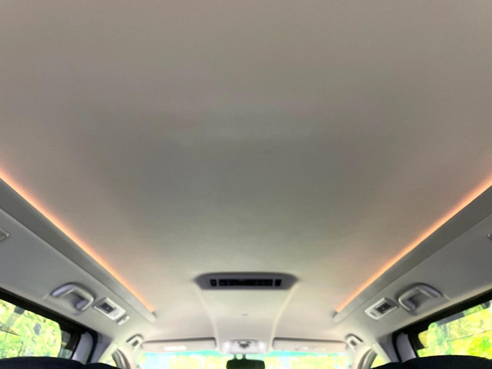 2013 Toyota Alphard DBA-ANH20W (UW-69fea3cef1222)[28]