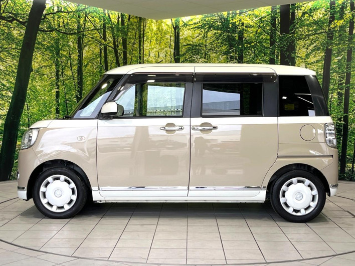 2017 Daihatsu Move Canbus DBA-LA800S (UW-69fea4461adc7)[6]