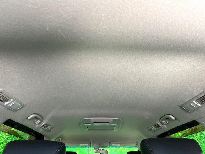 2012 Nissan Elgrand DBA-TE52 (UW-69fea49171004)[15]