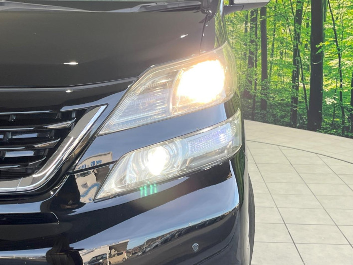 2011 Toyota Vellfire DBA-ANH20W (UW-69fff5491f9f0)[14]