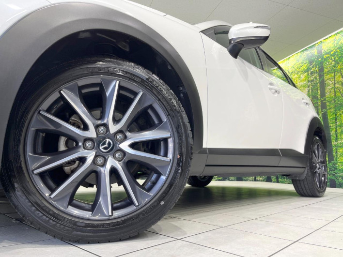 2018 Mazda CX-3 LDA-DK5FW (UW-69fff5676efe1)[4]