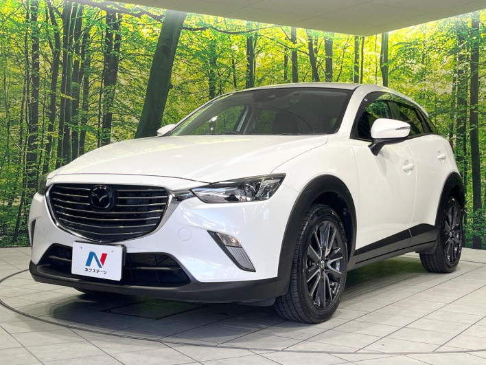 2018 Mazda CX-3 LDA-DK5FW (UW-69fff5676efe1)[15]