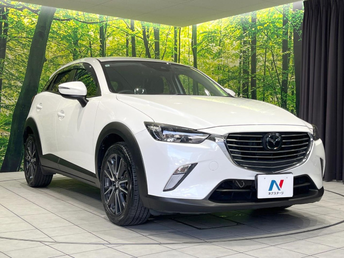 2018 Mazda CX-3 LDA-DK5FW (UW-69fff5676efe1)[21]
