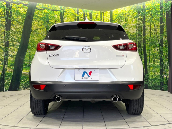 2018 Mazda CX-3 LDA-DK5FW (UW-69fff5676efe1)[18]