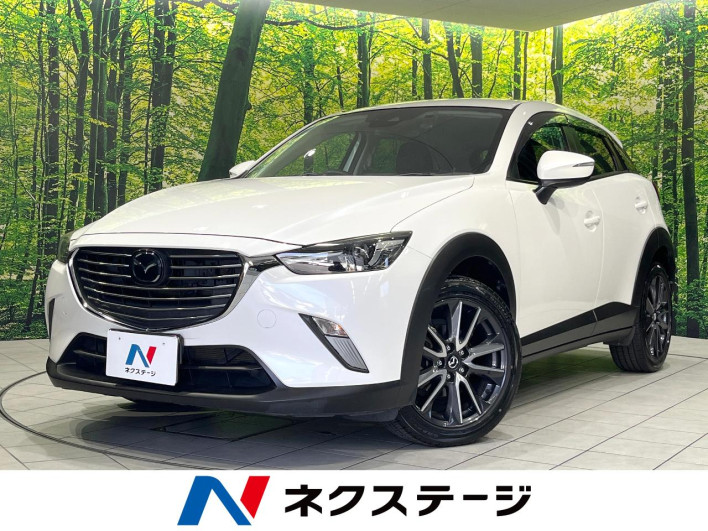 2018 Mazda CX-3 LDA-DK5FW (UW-69fff5676efe1)[3]