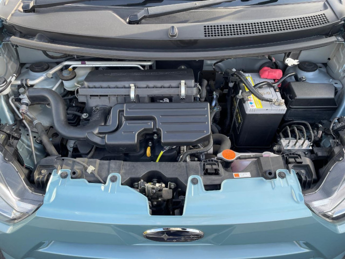 2017 Subaru Pleo Plus DBA-LA350F (UW-69fff5b1d1e49)[4]