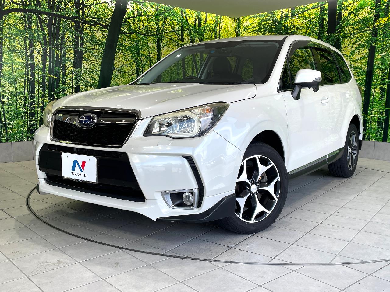 2013 Subaru Forester DBA-SJG