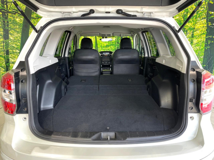 2013 Subaru Forester DBA-SJG (UW-69fff605dcf0f)[9]
