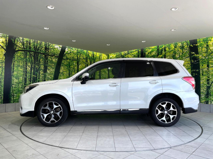 2013 Subaru Forester DBA-SJG (UW-69fff605dcf0f)[7]