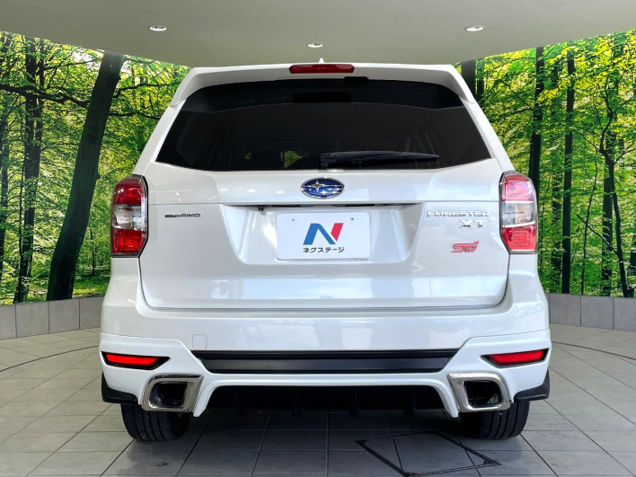 2013 Subaru Forester DBA-SJG (UW-69fff605dcf0f)[19]